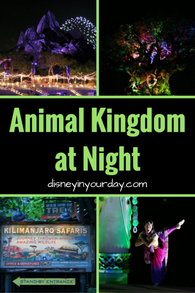 Animal Kingdom at night - Disney in your Day
