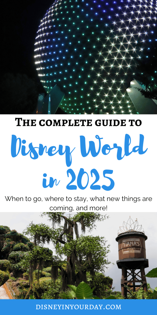 Disney World 2025 packages - Disney in your Day